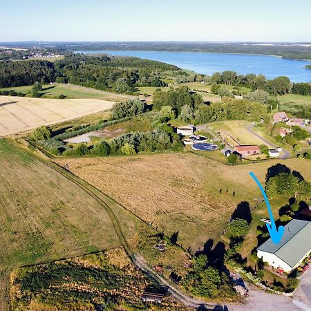 Ferienwohnung Feldblick Auf Dem Bauernhof Am Schweriner See Bad Kleinen 外观 照片